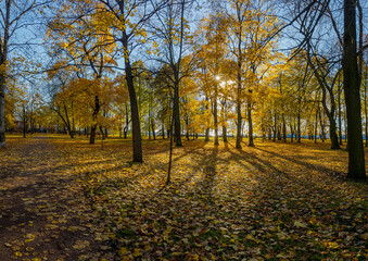 Petrovsky Park is an old park in Kronstadt. The author of the project is the military governor F....