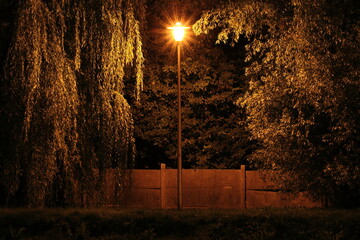 Latarnia nocą w parku miejskim. © jarizPJ