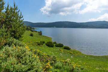 Fototapeta premium landscape of Belmeken Dam, Rila mountain, Bulgaria