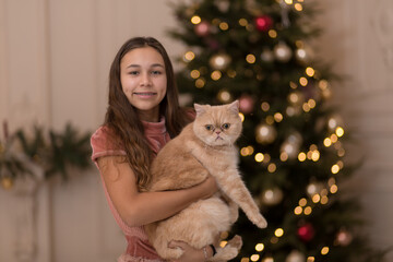 The girl spends the Christmas holidays with her cat