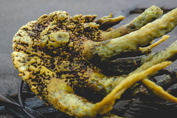 Beautiful closeup of green coral in the sand in the beach