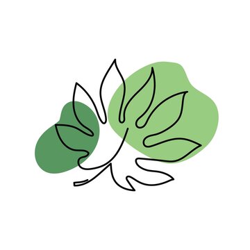 analia leaf