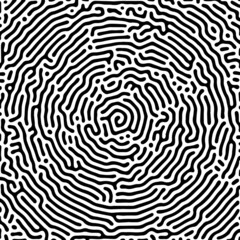 Vector black and white organic rounded lines pattern.