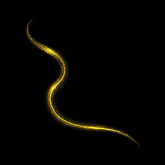 Fototapeta premium Gold glow light effect stars bursts with sparkles isolated.