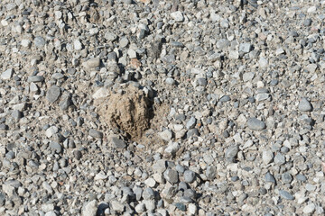gravel background