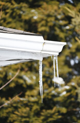 Icicles off the Roof