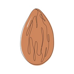 One continuous line hand drawn almond with brown color. Vector minimalist illustration isolated on white background. 