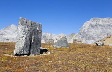 Giant Rock Boulders on a Green Alpine Meadow with Distant Rocky Mountain Peaks Landscape.  Scenic...