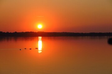 Naklejka premium sunset over the lake