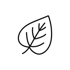 Doodle-a linden leaf icon. Contour image of the fallen leaves of a tree. Simple black drawing of plants for stickers, decor, postcards, badges, coloring books, logos. Vector clipart of plants