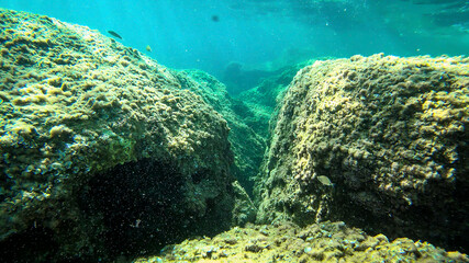 Rocky seabed in Alghero with sunrays passing through the water