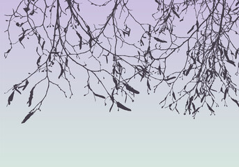 Vector nature background of silhouettes tree branches with buds