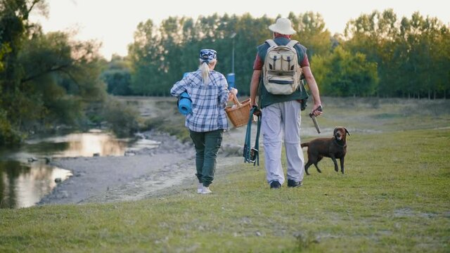 Slow motion: Tourist senior couple  walking in nature with a dog. Hiker traveler old man in hat with backpack hiking in nature. bio-tourism. Following Back View Shot