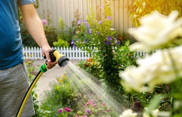 A gardener with a watering hose and a sprayer water the flowers in the garden on a summer sunny day. Sprinkler hose for irrigation plants. Gardening, growing and flower care concept. Selective focus