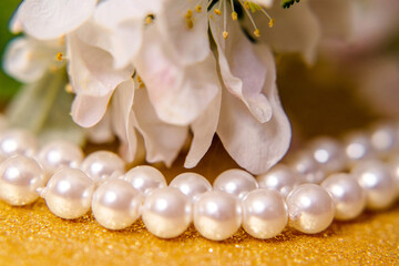 Pearl necklace and Apple blossom branch on a Golden background
