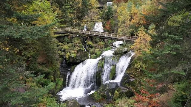 Beautiful forest landscape with bridge and waterfall. mountains.Beautiful autumn in the forest. Wild nature and crystal clear flowing water . Black forest, Germany