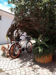 Fototapeta na wymiar bicycle in front of a house