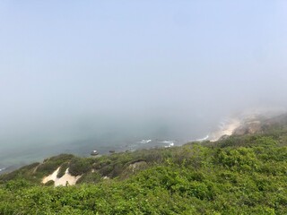 Foggy cliff