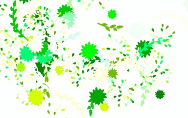 Light Blue, Green vector natural backdrop with flowers, roses.