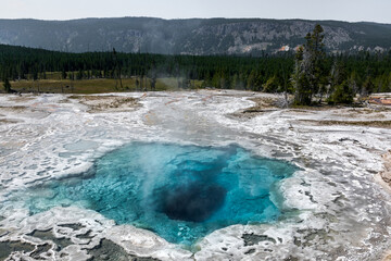 Artemisia Geyser- Upper Geyser Basin, Yellowstone National Park, Wyoming  