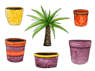 Set of watercolor hand painted houseplant ficus palm with colorful joyful orange lilac yellow polka dot flower pots
