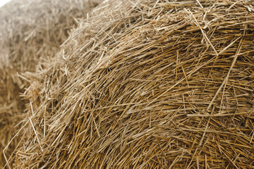 Straw texture background, close up. Close up of straw bale.
