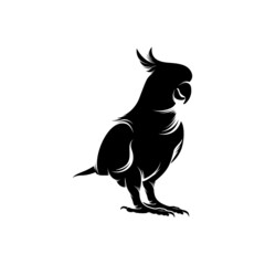 Cockatoo bird logo template design