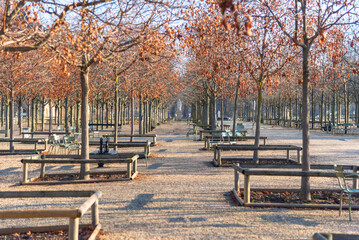 autumn in the park