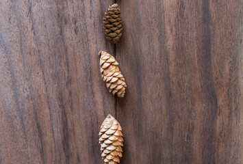 pine cones on a dark wood background