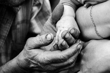 connection of generations