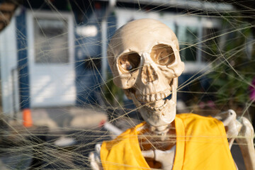 Happy Halloween Skeleton. Portrait of Skeleton outdoor.