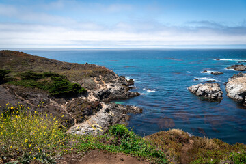 Rocky Coastline of Monterey Bay - obrazy, fototapety, plakaty