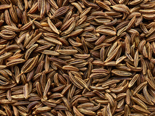 cumin seeds background macro