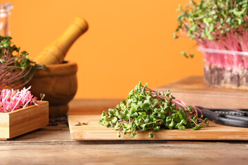 Board with fresh micro green on color background