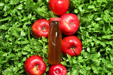 Creative composition with bottle of tasty juice and apples on grass outdoors