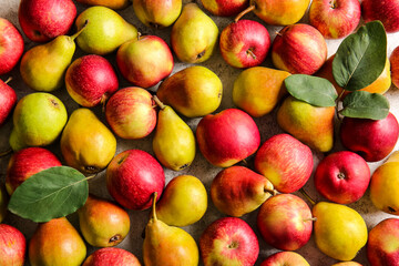 Ripe pears and apples as background