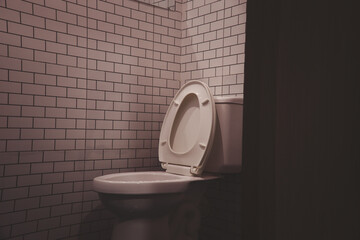 flush toilet,Ceramic white toilet bowl near grey wall, side light in the modern bathroom.