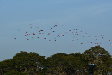 delta do parnaiba