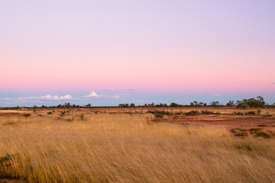 Colourful early evening landscape in desert country with straw coloured grasses