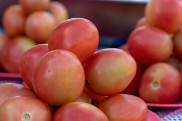 Tomatoes, Sida, sold as plates, piled up for sale in the markets of the upper Thailand.