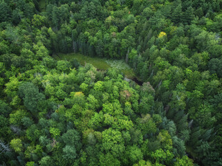 Aerial over crown land wilderness of in Tory Hill, Highlands East, Ontario, Canada. A clearing in the evergreens near Buckskin Lake, on an cloudy, late summer afternoon.