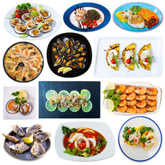 Set of various dishes from seafood isolated on white background..