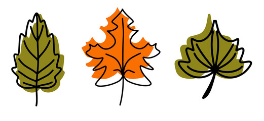 A collection of fallen autumn leaves of different shapes and colors. Autumn background, a poster with colorful leaves. Seasonal autumn elements for creating postcards, invitations. Cartoon flat style