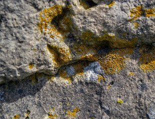 macro rock 2