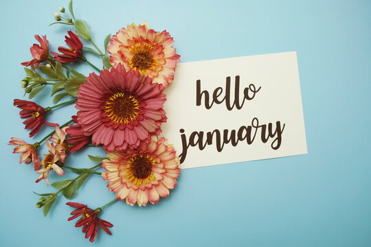 Hello January typography text with daisy flowers on blue background