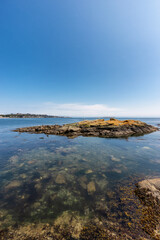 View of Rocky shore with birds at a modern city park, Clover Point, during sunny summer day. Victoria, Vancouver Island, British Columbia, Canada.