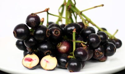 Gowok fruit or Syzygium polycephalum on white background. Commonly known as kupa or kepa in Indonesia. 
