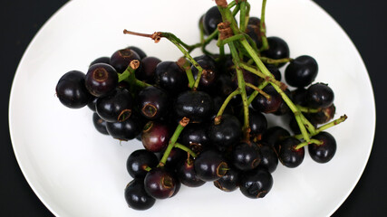 Gowok fruit or Syzygium polycephalum on white background. Commonly known as kupa or kepa in Indonesia. 