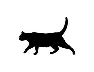 Silhouette of a cat on a white background. Animal clipart vector design illustration.