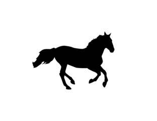 Silhouette of a horse on a white background. Animal clipart vector design illustration.